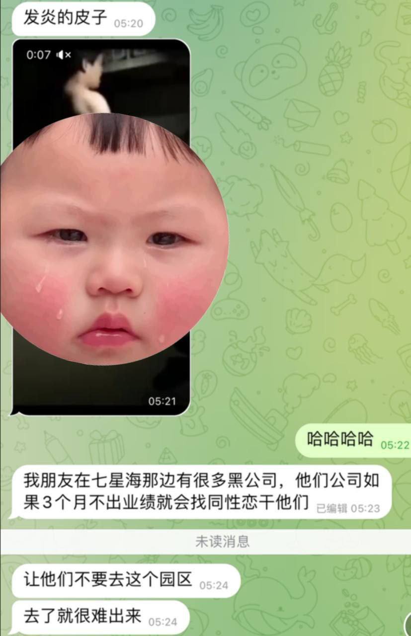 在七星海园区听到的那些传闻,我所看到的一角 在七星海园区听到的那些传闻,我所看到的一角