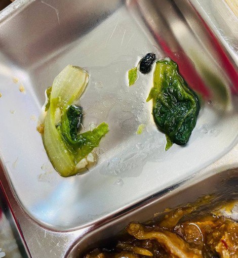 甲米地园区的一顿夜宵:所谓“大食堂”,不过是苍蝇的盛宴 甲米地园区的一顿夜宵:所谓“大食堂”,不过是苍蝇的盛宴