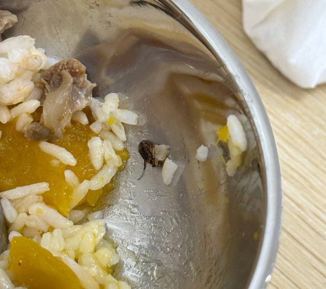 甲米地园区的一顿夜宵:所谓“大食堂”,不过是苍蝇的盛宴 甲米地园区的一顿夜宵:所谓“大食堂”,不过是苍蝇的盛宴