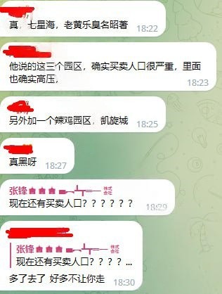 我眼里的皇乐园区、七星海园区与双狮东方汇园区