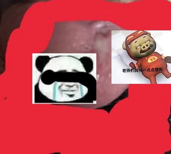 狗推：为b生，为b死，为逼奋斗一辈子