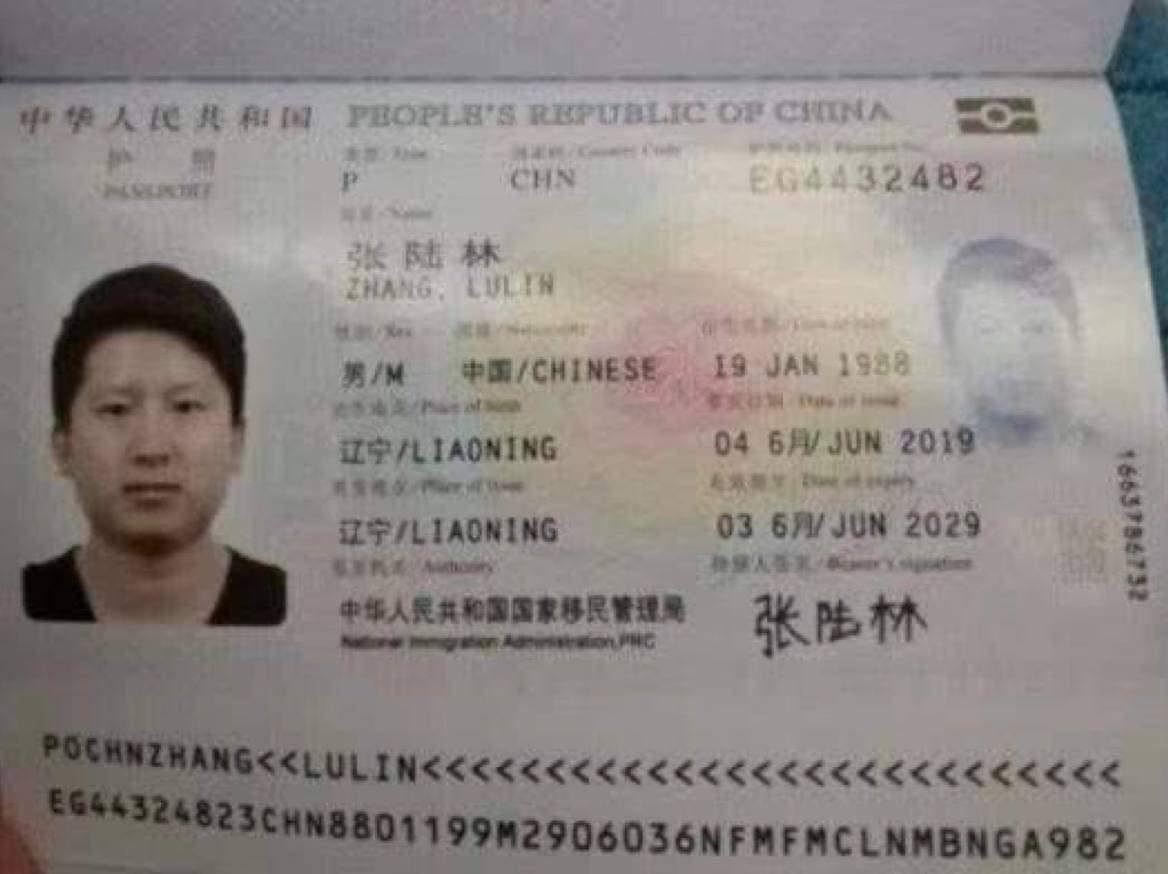 华泰大楼6楼的“狗人事”，我被张陆林骗走49万